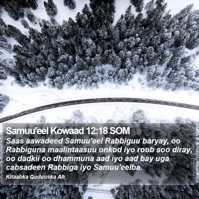 Samuu'eel Kowaad 12:18 SOM Bible Verse Image
