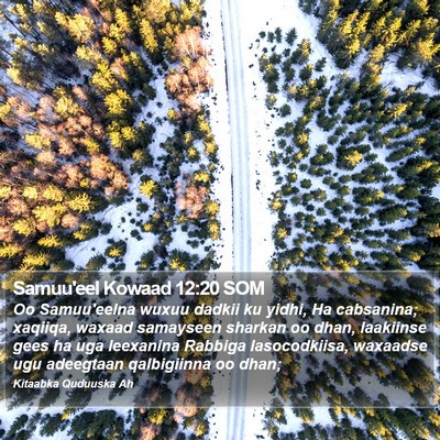 Samuu'eel Kowaad 12:20 SOM Bible Verse Image