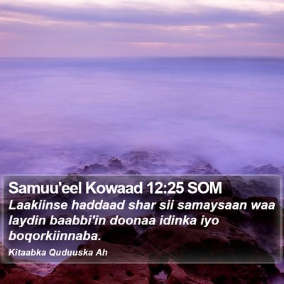 Samuu'eel Kowaad 12:25 SOM Bible Verse Image