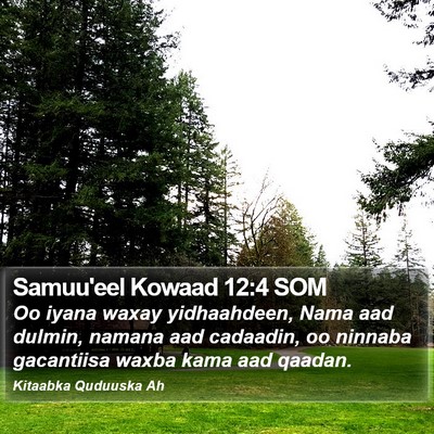 Samuu'eel Kowaad 12:4 SOM Bible Verse Image