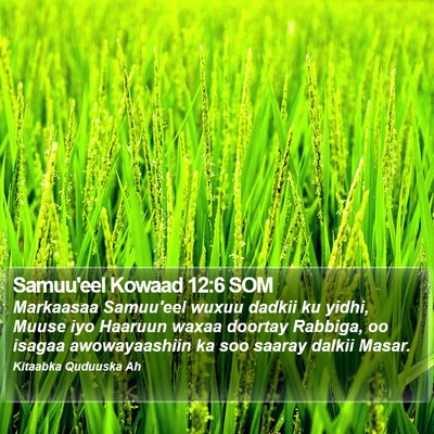 Samuu'eel Kowaad 12:6 SOM Bible Verse Image
