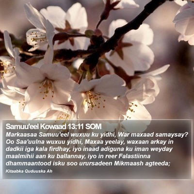 Samuu'eel Kowaad 13:11 SOM Bible Verse Image
