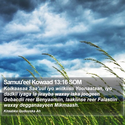 Samuu'eel Kowaad 13:16 SOM Bible Verse Image
