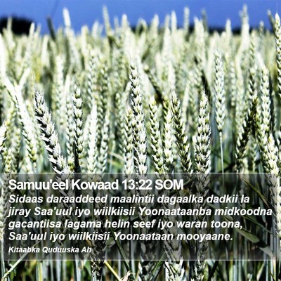 Samuu'eel Kowaad 13:22 SOM Bible Verse Image