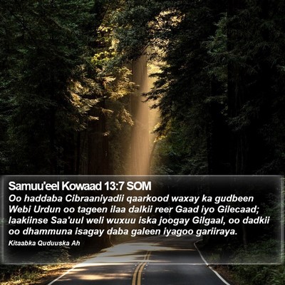 Samuu'eel Kowaad 13:7 SOM Bible Verse Image