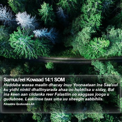 Samuu'eel Kowaad 14:1 SOM Bible Verse Image