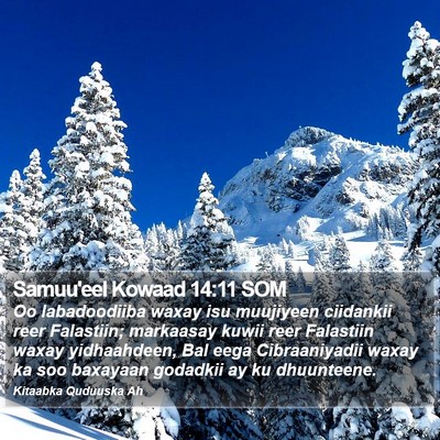 Samuu'eel Kowaad 14:11 SOM Bible Verse Image