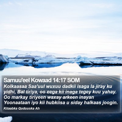 Samuu'eel Kowaad 14:17 SOM Bible Verse Image