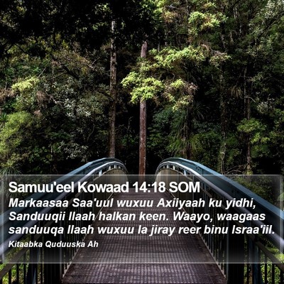Samuu'eel Kowaad 14:18 SOM Bible Verse Image