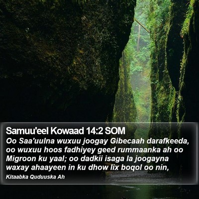 Samuu'eel Kowaad 14:2 SOM Bible Verse Image