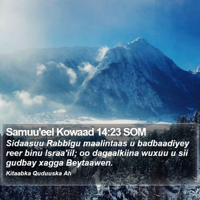 Samuu'eel Kowaad 14:23 SOM Bible Verse Image