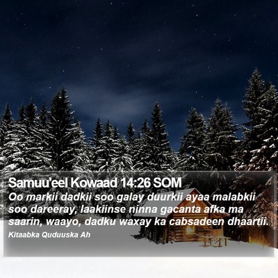 Samuu'eel Kowaad 14:26 SOM Bible Verse Image