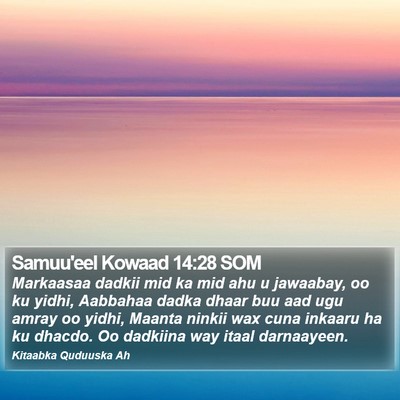 Samuu'eel Kowaad 14:28 SOM Bible Verse Image