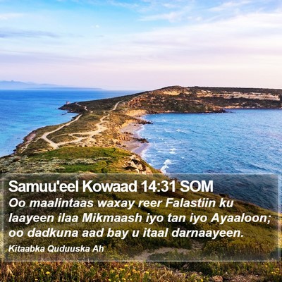 Samuu'eel Kowaad 14:31 SOM Bible Verse Image