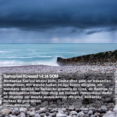 Samuu'eel Kowaad 14:34 SOM Bible Verse Image