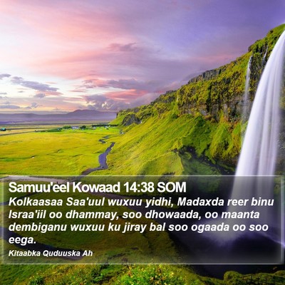 Samuu'eel Kowaad 14:38 SOM Bible Verse Image