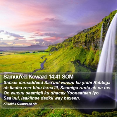 Samuu'eel Kowaad 14:41 SOM Bible Verse Image