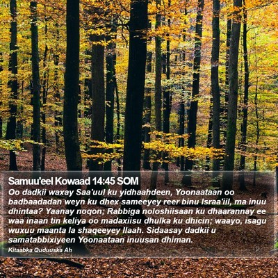 Samuu'eel Kowaad 14:45 SOM Bible Verse Image