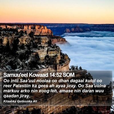 Samuu'eel Kowaad 14:52 SOM Bible Verse Image
