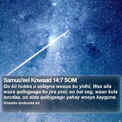 Samuu'eel Kowaad 14:7 SOM Bible Verse Image