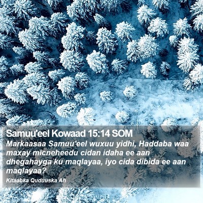 Samuu'eel Kowaad 15:14 SOM Bible Verse Image