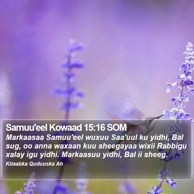Samuu'eel Kowaad 15:16 SOM Bible Verse Image