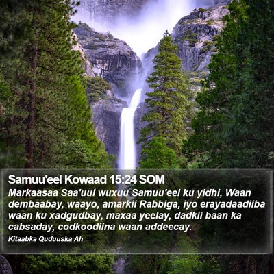 Samuu'eel Kowaad 15:24 SOM Bible Verse Image