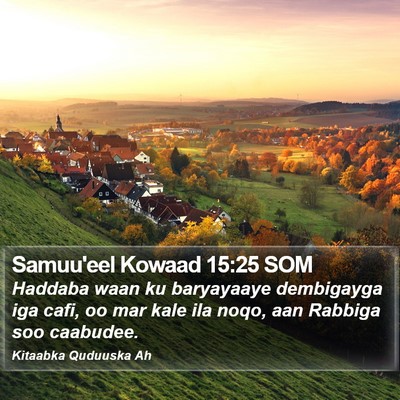 Samuu'eel Kowaad 15:25 SOM Bible Verse Image