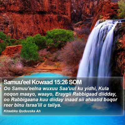 Samuu'eel Kowaad 15:26 SOM Bible Verse Image