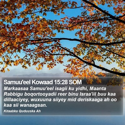 Samuu'eel Kowaad 15:28 SOM Bible Verse Image