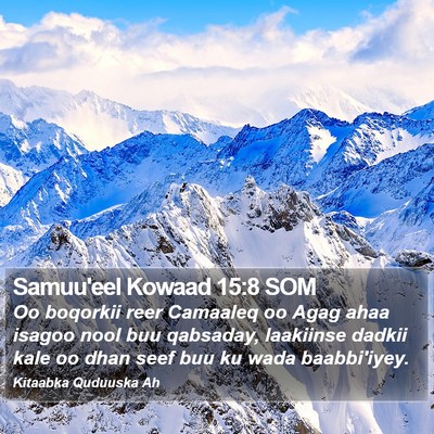 Samuu'eel Kowaad 15:8 SOM Bible Verse Image