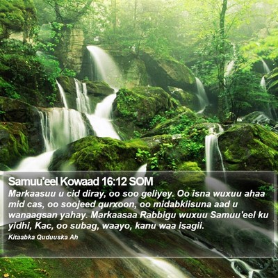 Samuu'eel Kowaad 16:12 SOM Bible Verse Image