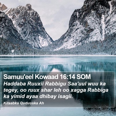 Samuu'eel Kowaad 16:14 SOM Bible Verse Image