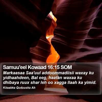Samuu'eel Kowaad 16:15 SOM Bible Verse Image