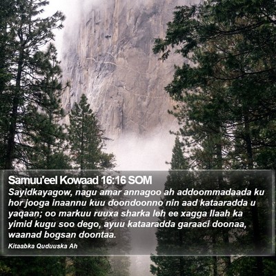 Samuu'eel Kowaad 16:16 SOM Bible Verse Image