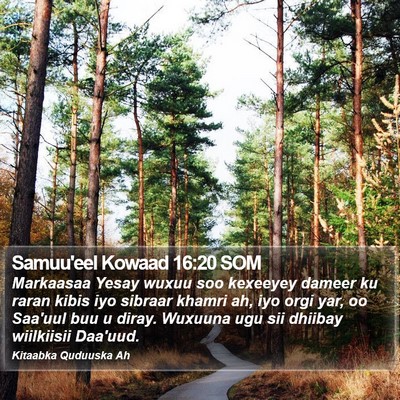 Samuu'eel Kowaad 16:20 SOM Bible Verse Image