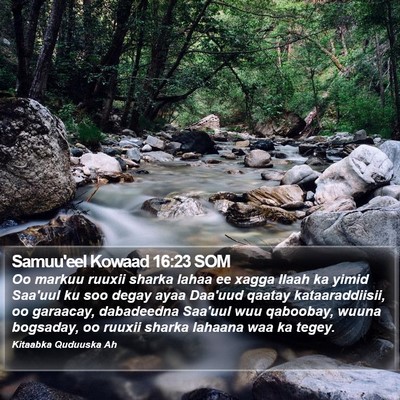 Samuu'eel Kowaad 16:23 SOM Bible Verse Image