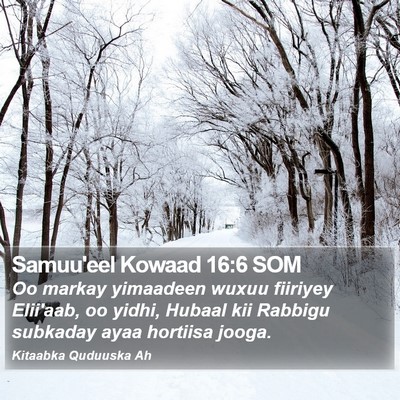 Samuu'eel Kowaad 16:6 SOM Bible Verse Image