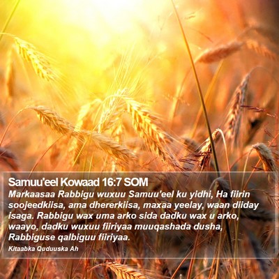 Samuu'eel Kowaad 16:7 SOM Bible Verse Image