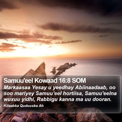 Samuu'eel Kowaad 16:8 SOM Bible Verse Image