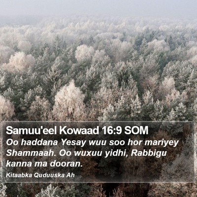 Samuu'eel Kowaad 16:9 SOM Bible Verse Image