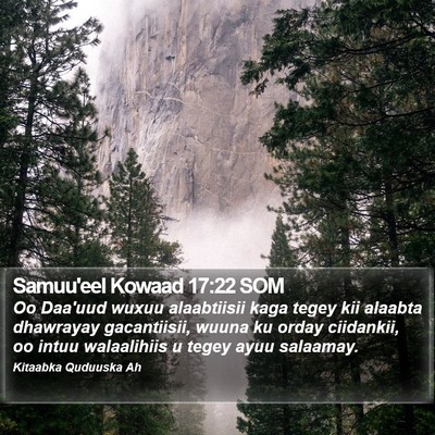 Samuu'eel Kowaad 17:22 SOM Bible Verse Image