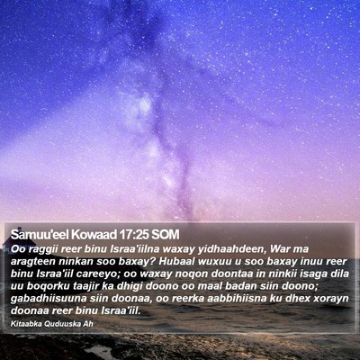 Samuu'eel Kowaad 17:25 SOM Bible Verse Image
