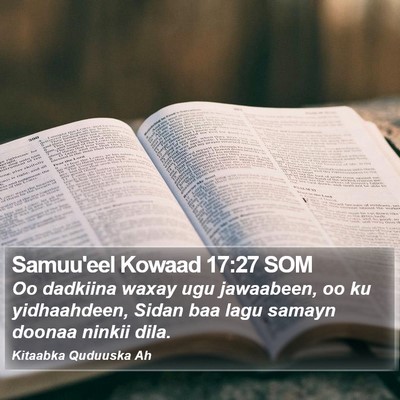 Samuu'eel Kowaad 17:27 SOM Bible Verse Image