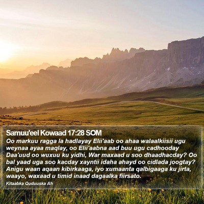 Samuu'eel Kowaad 17:28 SOM Bible Verse Image