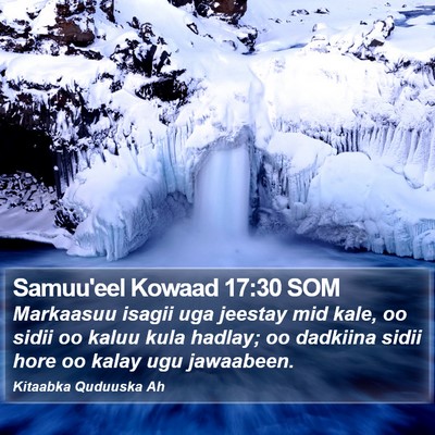 Samuu'eel Kowaad 17:30 SOM Bible Verse Image