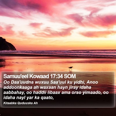 Samuu'eel Kowaad 17:34 SOM Bible Verse Image