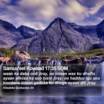 Samuu'eel Kowaad 17:35 SOM Bible Verse Image