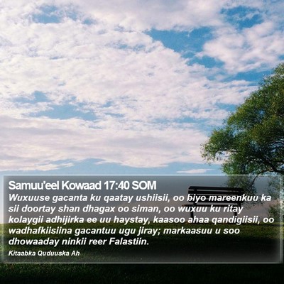 Samuu'eel Kowaad 17:40 SOM Bible Verse Image