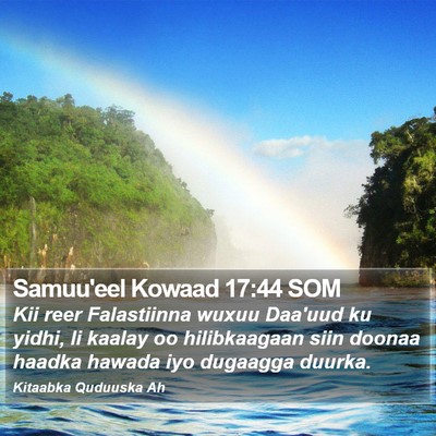 Samuu'eel Kowaad 17:44 SOM Bible Verse Image